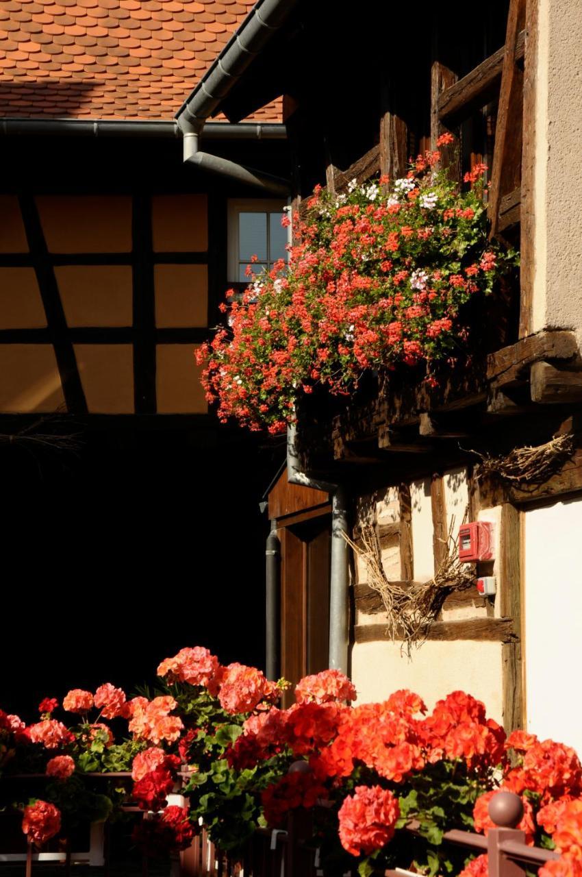 La Cour Du Bailli Suites & Spa 베아카임 외부 사진